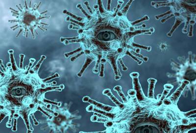 Штаммы коронавируса снижают врожденный иммунитет человека