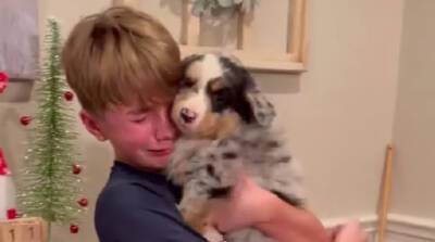 Неподдельные эмоции: реакция мальчика на подаренного щенка покорила YouTube (Видео)