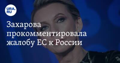 Захарова прокомментировала жалобу ЕС к России. «Глупость и несамостоятельность»