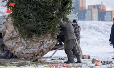 В прикамском городе на площади рухнула новогодняя елка