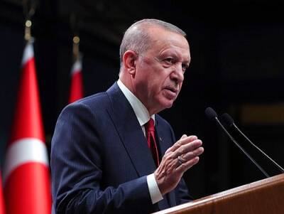 Эрдоган: разногласия по палестинскому вопросу не должны мешать отношениям с Израилем