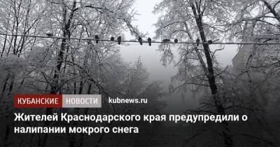 Жителей Краснодарского края предупредили о налипании мокрого снега
