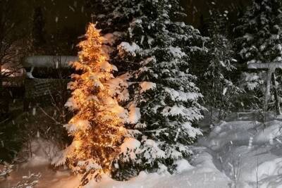 В Мурманской области прогнозируют сильный снегопад