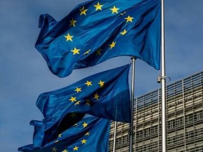 В СФ указали на отсутствие у ЕС прав требовать компенсаций за импортозамещение
