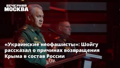 «Украинские неофашисты»: Шойгу рассказал о причинах возвращения Крыма в состав России