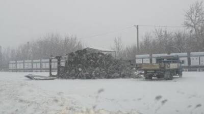 В Пензенской области новогодняя елка не устояла в непогоду - penzainform.ru - Пензенская обл.