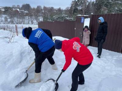 В Чехове волонтеры помогли одинокой пенсионерке расчистить снег и наколоть дрова