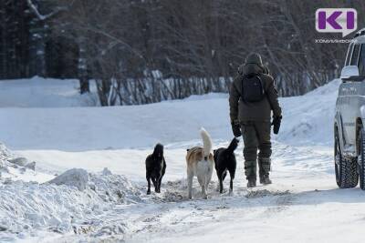 Владельцы собак нарушают правила выгула животных в Кировском парке Сыктывкара