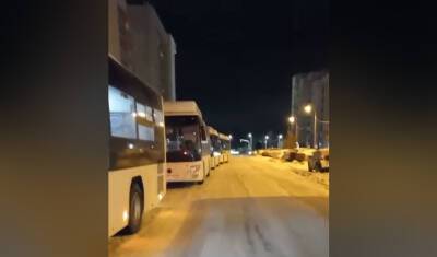 В Уфе на маршрут № 233 Дема-Инорс вышли 20 больших автобусов с московскими номерами