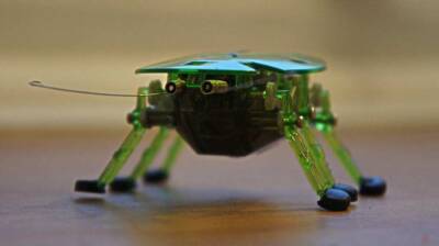 В Японии представили робота-насекомого, не нуждающегося в батареях и проводах