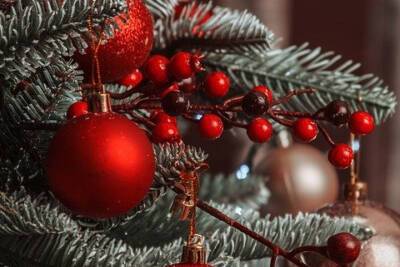 В Курске Дед Мороз начнет вести приемы с 29 декабря