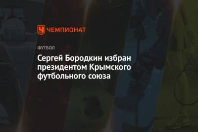 Сергей Бородкин избран президентом Крымского футбольного союза