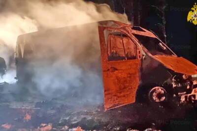 В Гагаринском районе на трассе М-1 Беларусь сгорел рефрижератор
