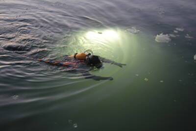 Водолазы Северного флота на 20-метровой глубине проверили надежность подводной части плавучего причала