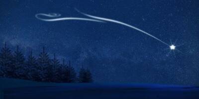 Астрономы рассказали россиянам о звездопаде и параде планет в новогодние праздники