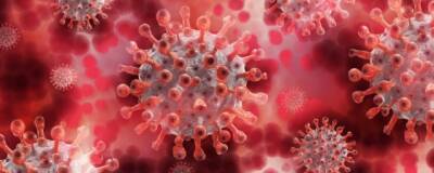 Nature: вирус ковида может находиться в человеческом теле до семи с половиной месяцев