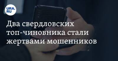 Два свердловских топ-чиновника стали жертвами мошенников. Среди них — замминистра финансов