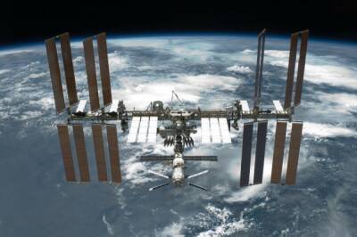 Космонавты на МКС к новогоднему столу сделают селедку под шубой