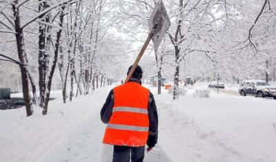 В Севастополе уволили вице-губернатора из-за жалоб на плохую уборку снега
