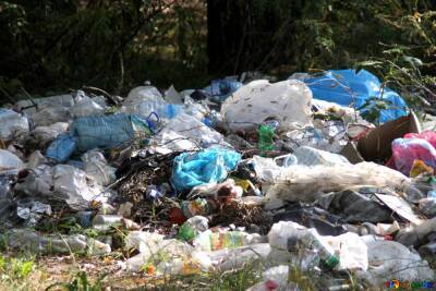 Учреждение Минобороны оштрафовали из-за неправильного хранения мусора в Нижегородской области