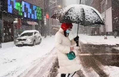 Снег атакует Киев перед резким потеплением: синоптики поделились прогнозом погоді до 2 января