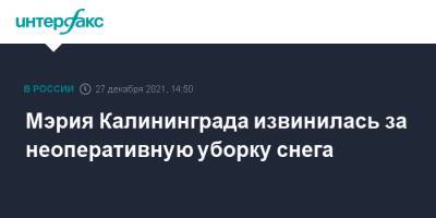 Мэрия Калининграда извинилась за неоперативную уборку снега