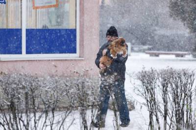 До минус 22 градусов опустится температура в Псковской области 28 декабря