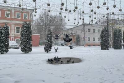 28 декабря в Рязанской области ожидается до -12 градусов