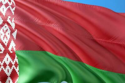 В Белоруссии представили проект поправок в Конституцию