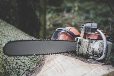 В Пензенской области «черный лесоруб» нарубил деревьев на 14 тысяч рублей