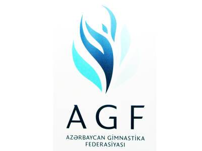Состоялось заседание Исполнительного комитета Федерации гимнастики Азербайджана