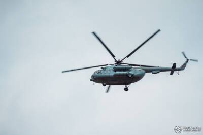 Вертолет Ми-2 совершил аварийную посадку под Ижевском