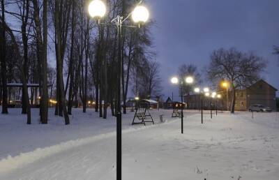 В Ельне восстановили освещение в парке после обращения на прямую линию губернатора