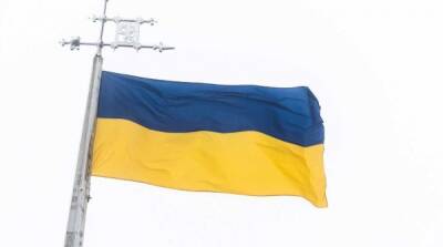 Украинские депутаты устроили драку на дороге