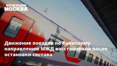 Движение поездов по Киевскому направлению МЖД восстановили после остановки состава