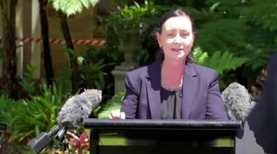 У меня есть вопрос: паук забрался на ногу министра здравоохранения Австралии прямо во время пресс-конференции (Видео)