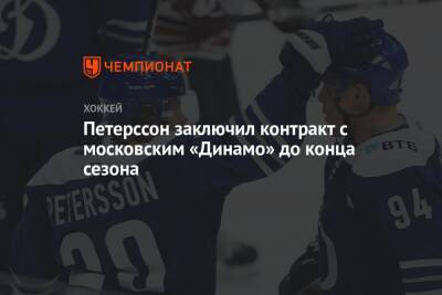 Петерссон заключил контракт с московским «Динамо» до конца сезона