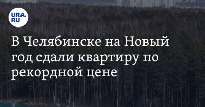 В Челябинске на Новый год сдали квартиру по рекордной цене. Скрин