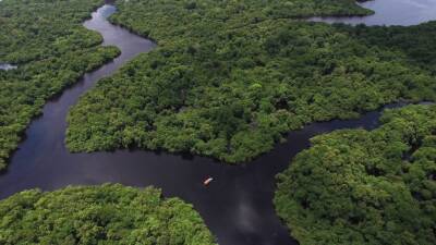 Ученые планируют следить за Амазонкой из космоса и мира
