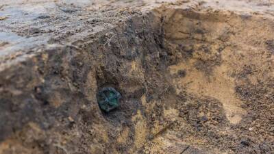 Ученые Inrap нашли на Корсике фундамент здания с отпечатком копыта кабана