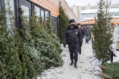 Полиция проверяет ёлочные базары в Новосибирске на законность продажи новогодних деревьев