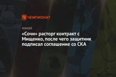 «Сочи» расторг контракт с Мищенко, после чего защитник подписал соглашение со СКА