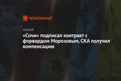 «Сочи» подписал контракт с форвардом Морозовым, СКА получил компенсацию