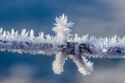 28 декабря в Туле будет от -16 до -7 градусов мороза