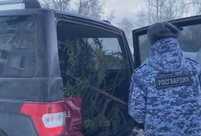 Росгвардейцы подарили новогоднюю ель 85-летней жительнице Ленинградской области