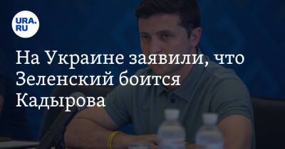 На Украине заявили, что Зеленский боится Кадырова. «По-прежнему есть страх»