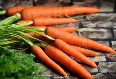 Диетолог назвала категорию людей, которым противопоказанна морковь