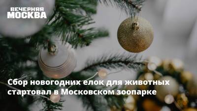 Сбор новогодних елок стартовал в Московском зоопарке