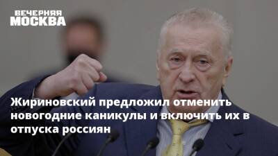 Жириновский предложил отменить новогодние каникулы и включить их в отпуска россиян