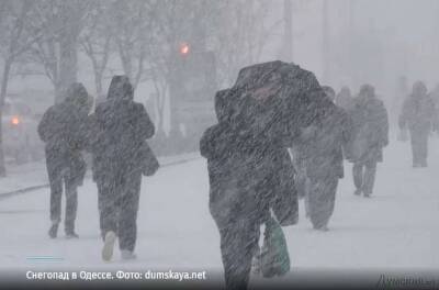 Синоптик сообщила о приближении снегопадов и скорой оттепели
